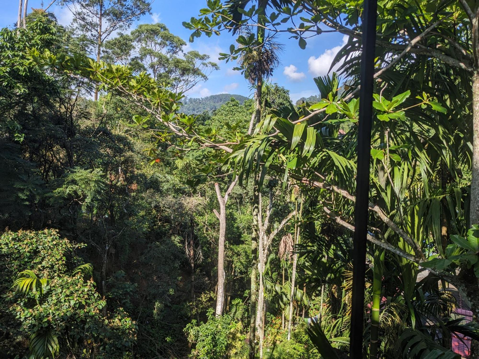 Ella Jungle Inn Homestay And Tree House Luaran gambar