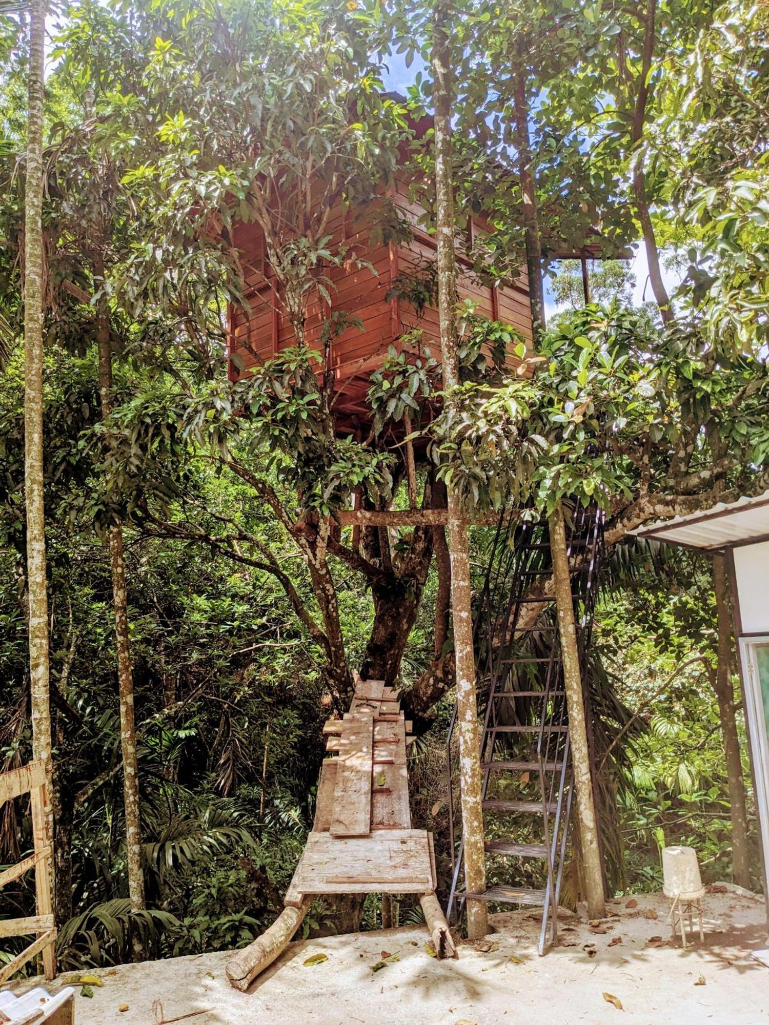 Ella Jungle Inn Homestay And Tree House Luaran gambar