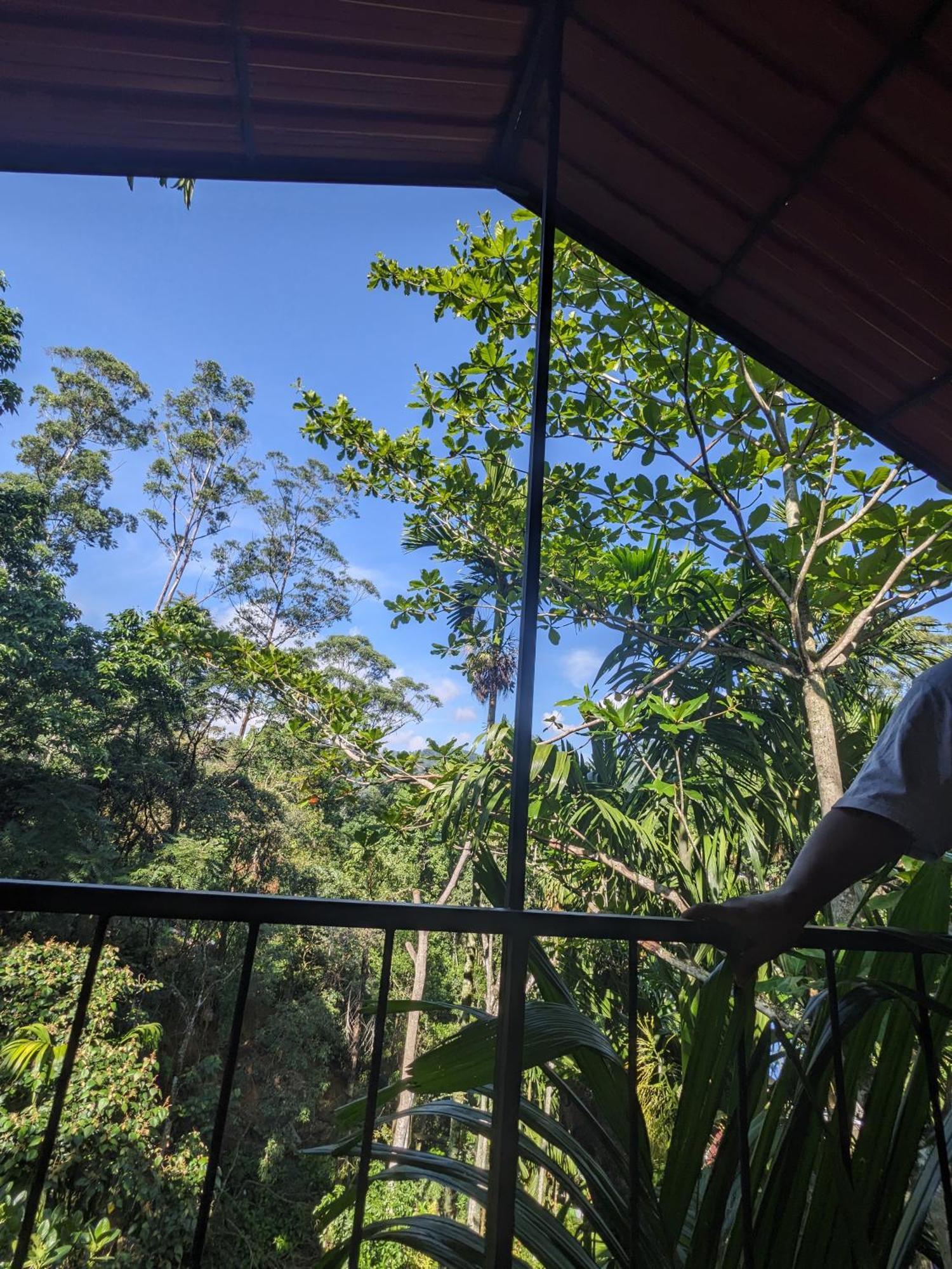 Ella Jungle Inn Homestay And Tree House Luaran gambar