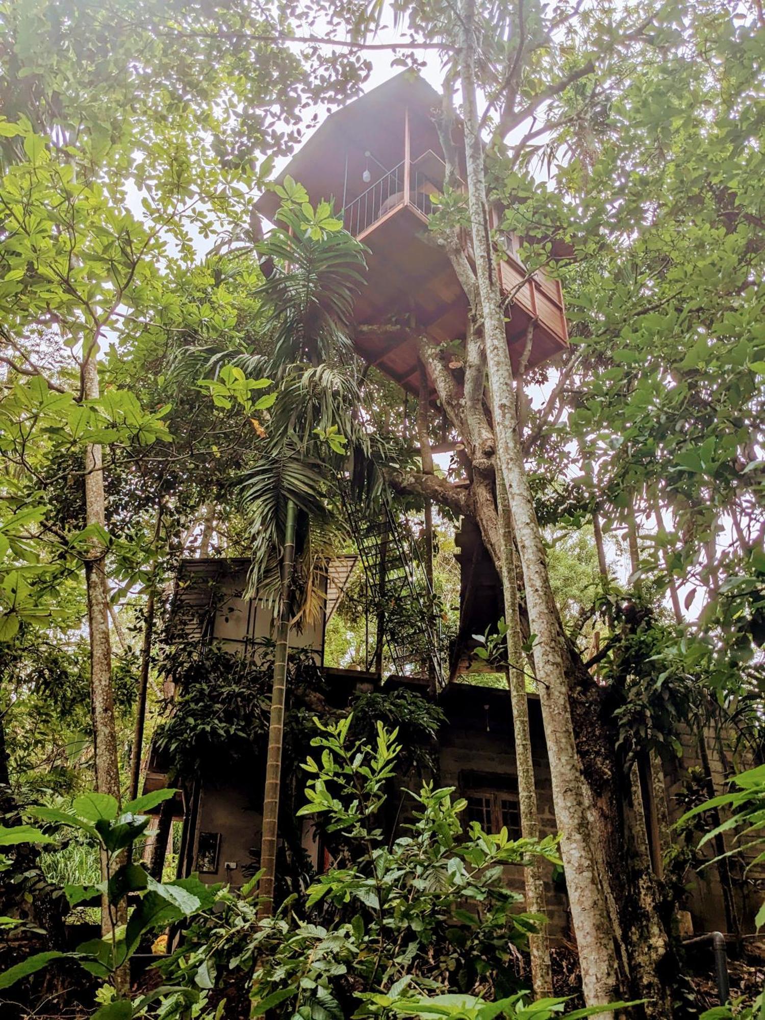 Ella Jungle Inn Homestay And Tree House Luaran gambar