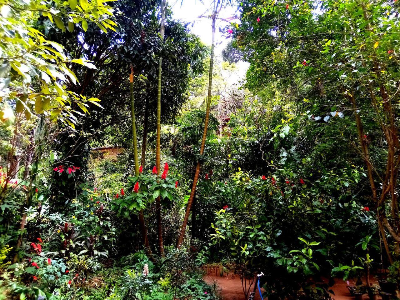 Ella Jungle Inn Homestay And Tree House Luaran gambar