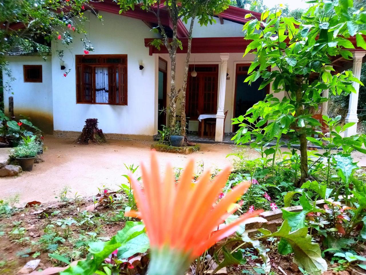 Ella Jungle Inn Homestay And Tree House Luaran gambar