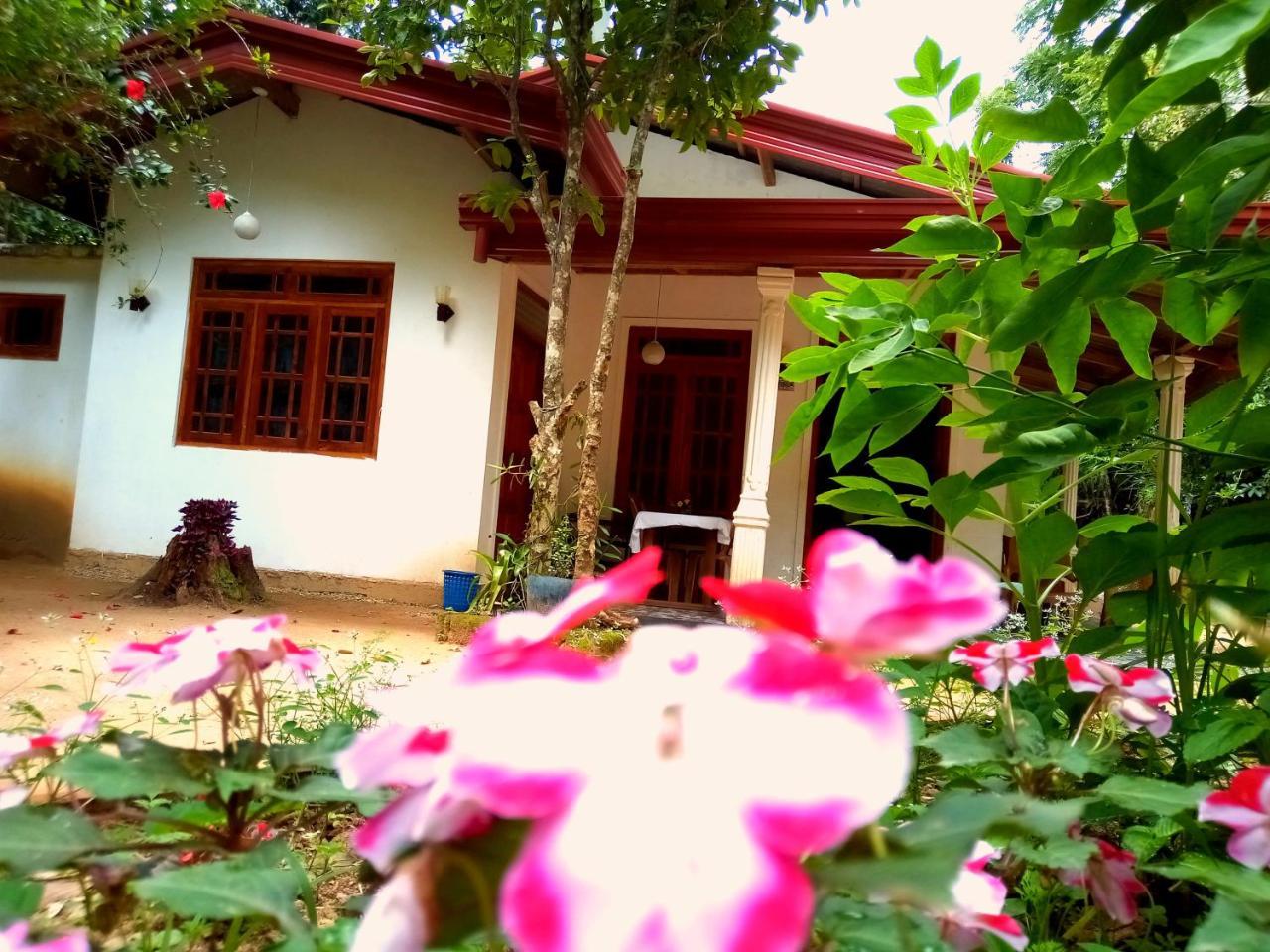 Ella Jungle Inn Homestay And Tree House Luaran gambar