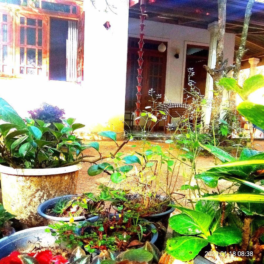 Ella Jungle Inn Homestay And Tree House Luaran gambar